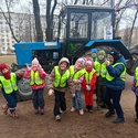Птичья новостройка