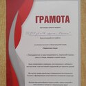 Птичья новостройка