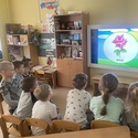 В мире цветов