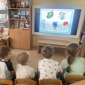 В мире цветов